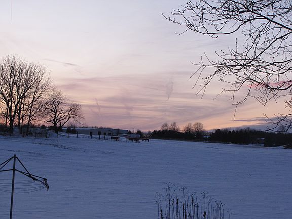 view from either deck