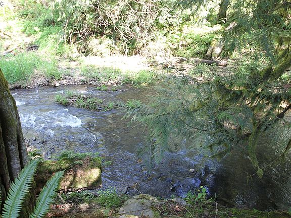 4th image of 33433 SE Muddy Duck Ln