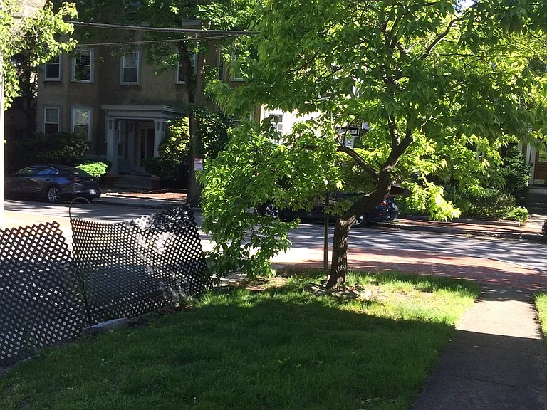 7 Forest St #3-K — Photo 17