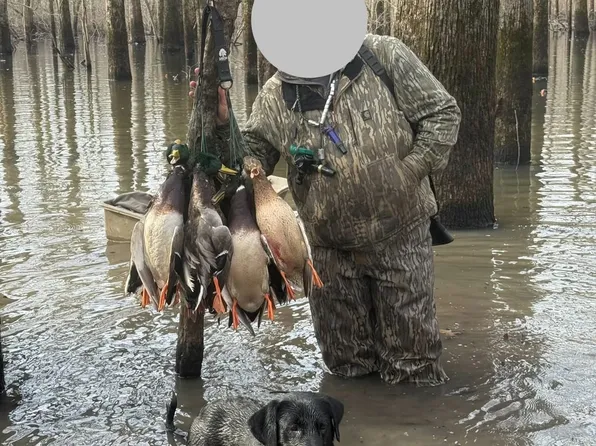 0 Highway 70, Biscoe, AR 72017