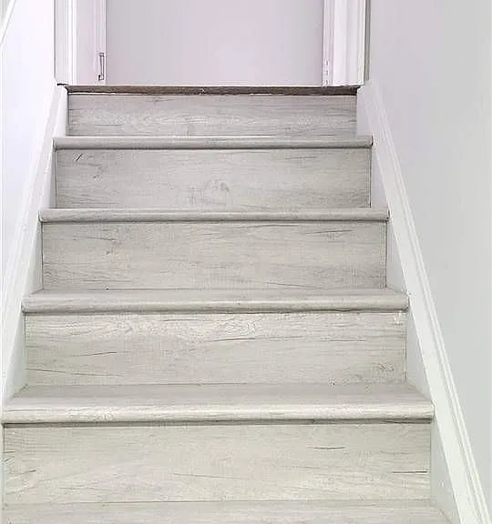 19 Adventura Rd #BASEMENT — Photo 8