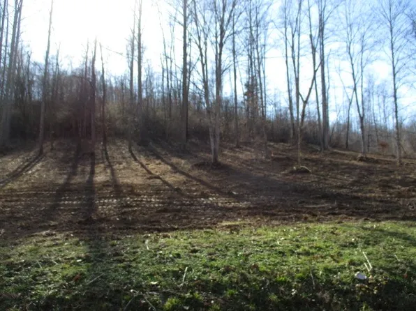 0 Rock House Hollow Rd, Bethpage, TN 37022