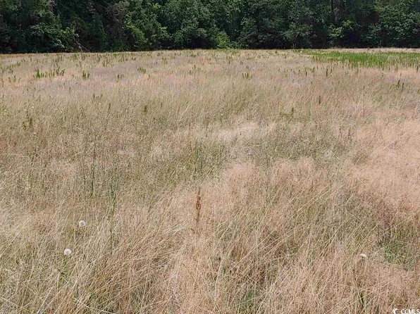 2791 Green Sea Rd. Lot 4, Green Sea, SC 29545