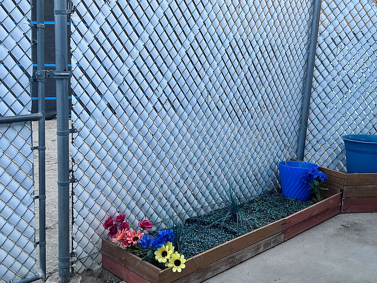 Chia Ave — Photo 11