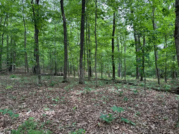 43 Raccoon Ln, Smithville, AR 72466