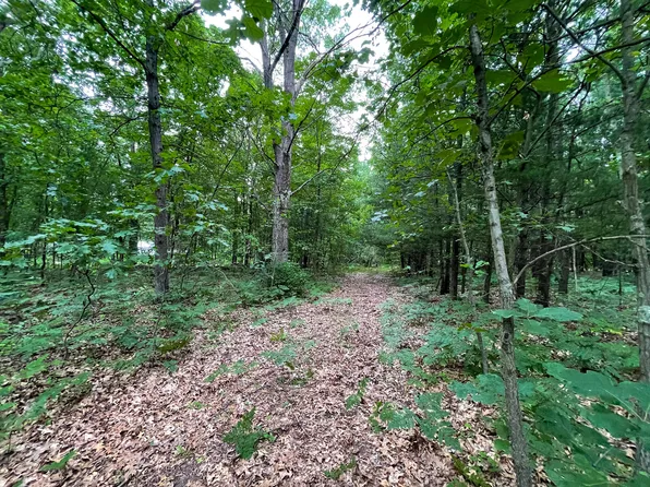 20 113th Ave, Fennville, MI 49408