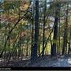 LOT 2635 Garnet Dr, Ellijay, GA, 30540