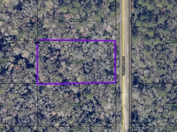 10425 Vaughan Ave, Hastings, FL 32145