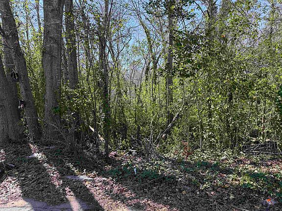 5th image of 9 Allen St