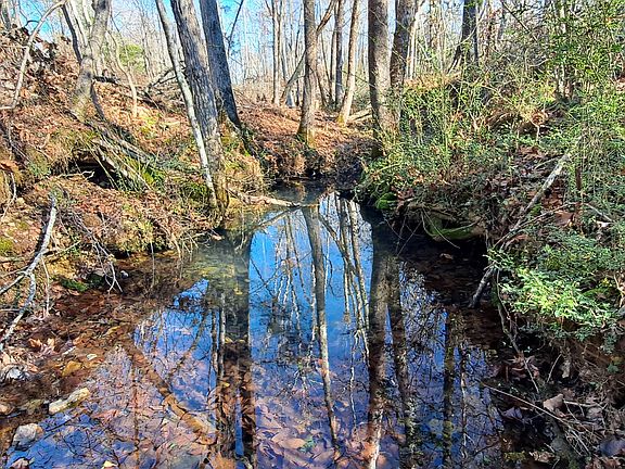 2nd image of 0 W Piney Rd