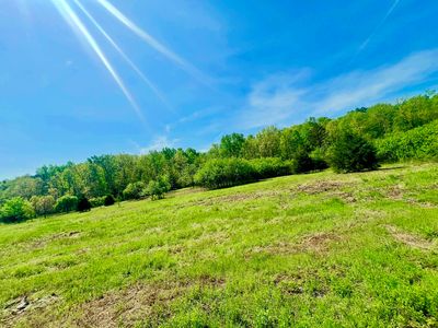 000 Dd 585, Winona, MO, 65588