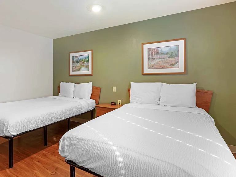 Studio Suite - 2 Full Beds