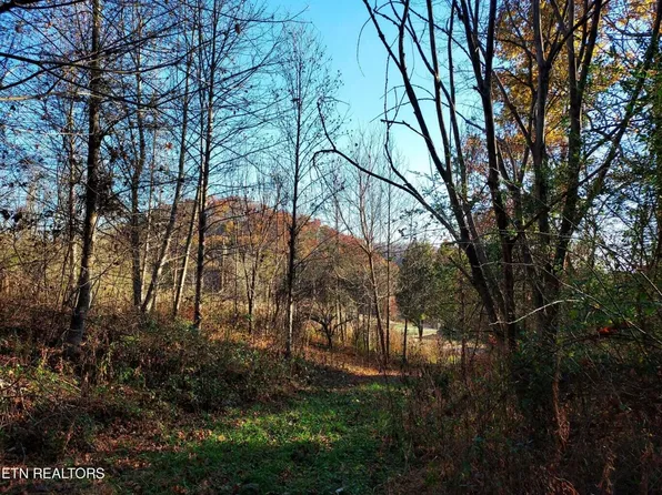 Ferguson Cemetery Rd, Sneedville, TN 37869
