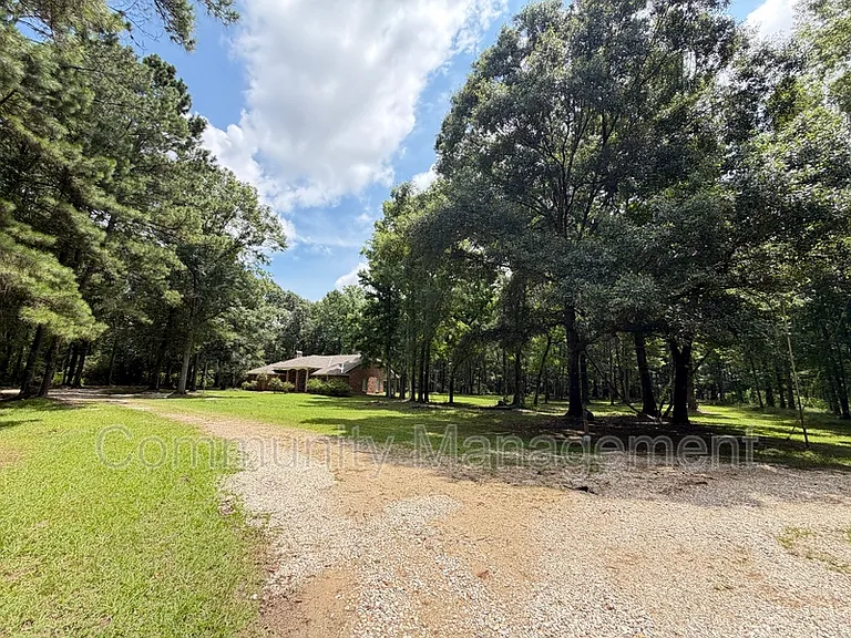 11275 Otto Odom Cir — Photo 32