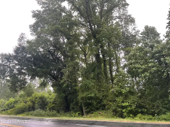 0 Slatestone Road, Washington, NC 27889