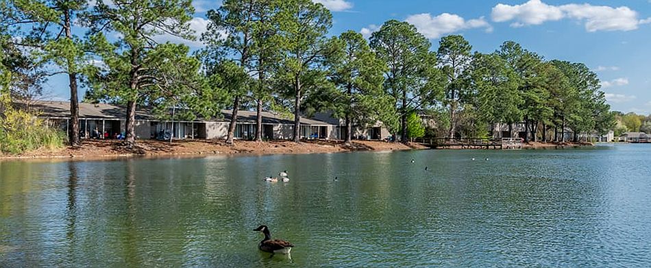 Screenshot 2022-10-04 085054