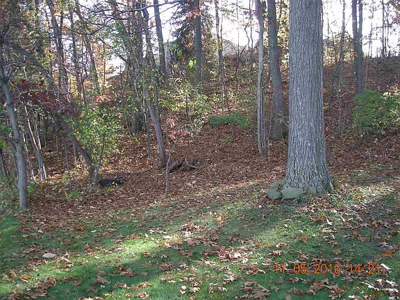 5th image of 224 W Shore Dr