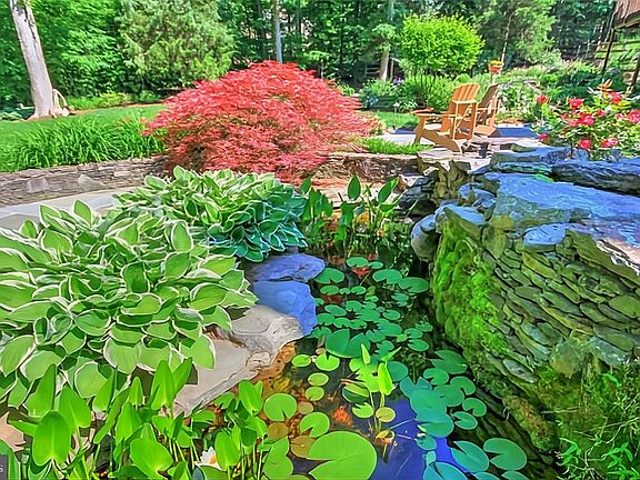 Fish pond in backyard on a bright sunny day.