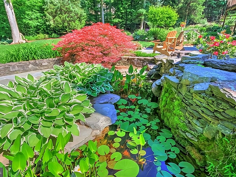 Fish pond in backyard on a bright sunny day.
