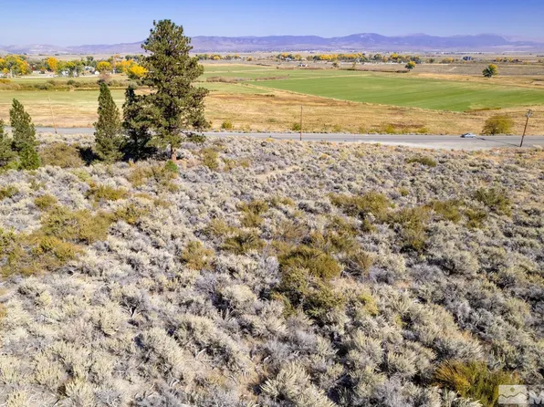 226 Candy Dance Ln, Genoa, NV 89411