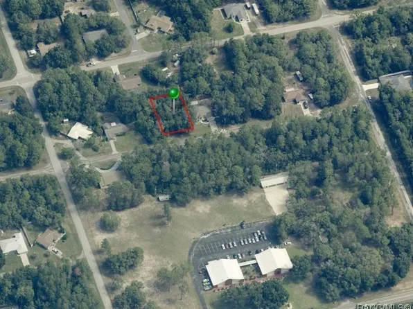 1415 W Saint Elizabeth Pl, Citrus Springs, FL 34434