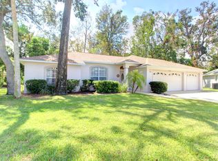 3658 Gold Nugget Ct, Port Orange, FL 32129