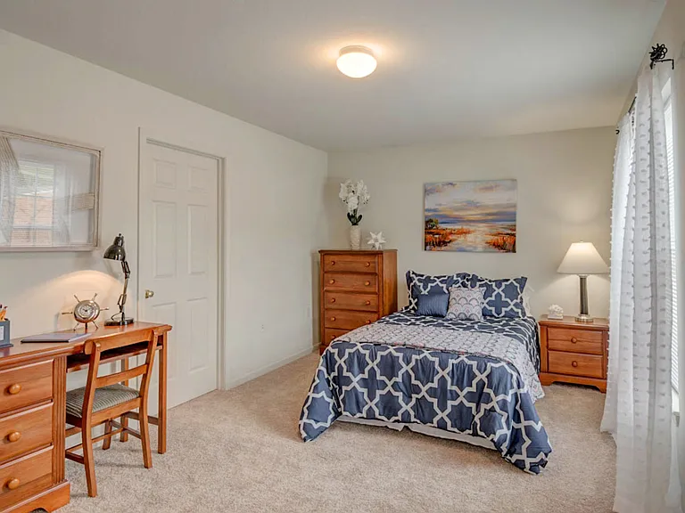 Copper Beech at Radford — Photo 6