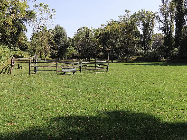 Springside Manor — Photo 10