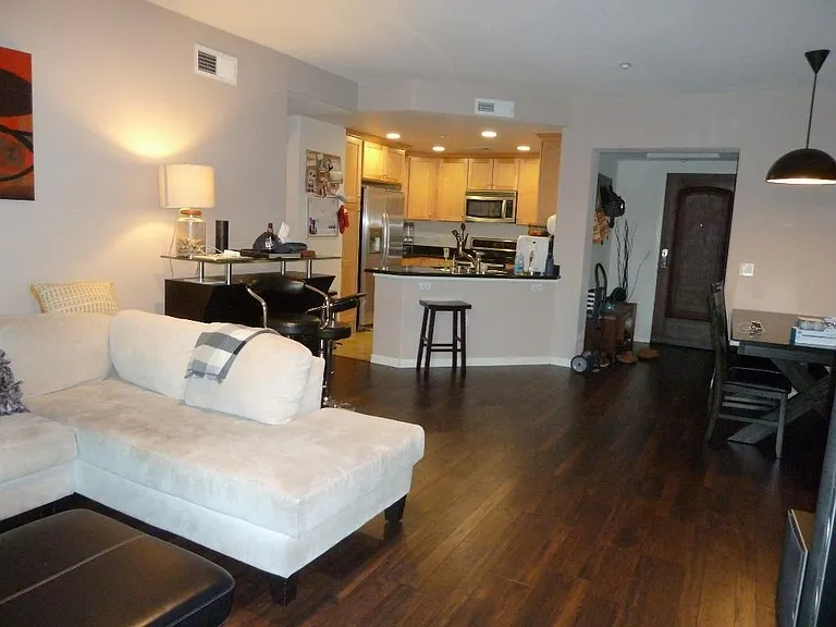 49002 Cinnamon Fern Cmn #503 — Photo 12