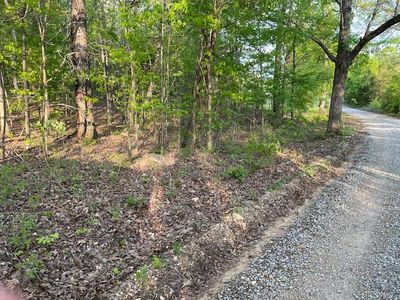 Herbie Rd, Ravenden Springs, AR, 72460