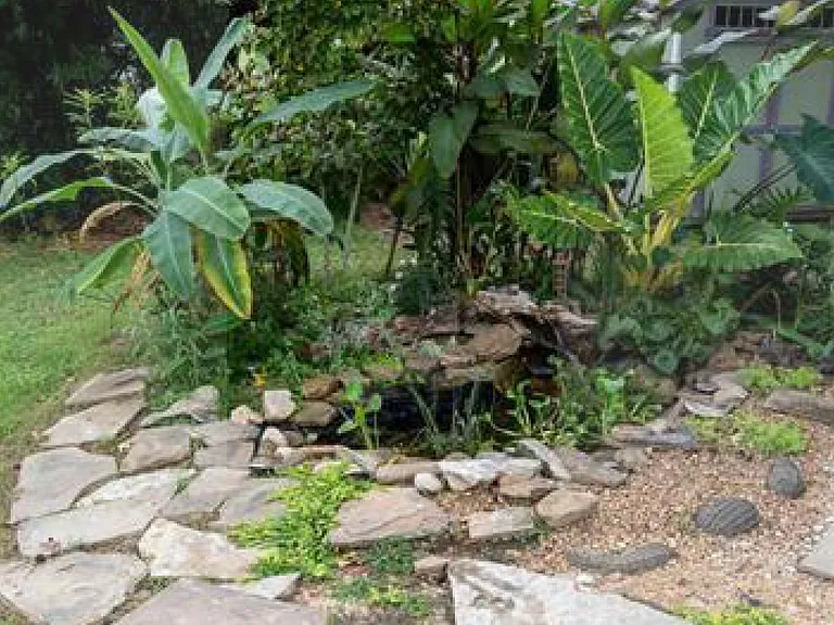 Backyard fountain
