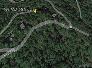 0 Rumbling Bald Rd #75, Lake Lure, NC 28746