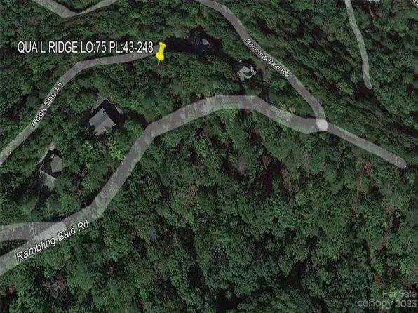 0 Rumbling Bald Rd #75, Lake Lure, NC 28746
