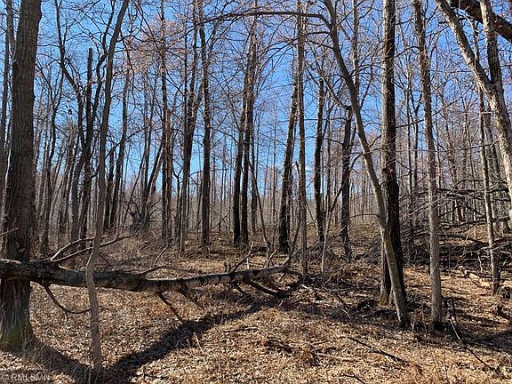 2nd image of L7-B1 Maplewood Dr