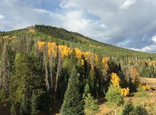 24200 Meadow Rd, Clark, CO 80428