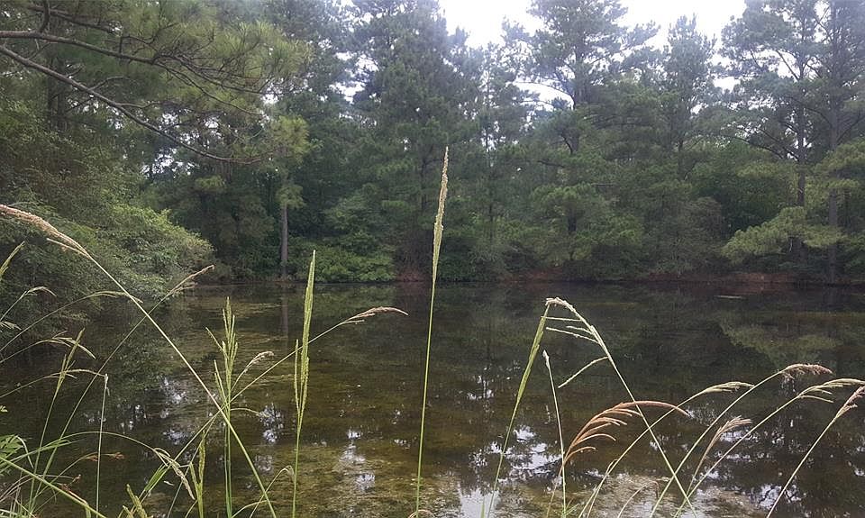 1st image of 9638 County Road 3555