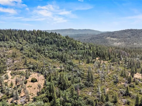 17711 Pamlo Way, Brownsville, CA 95919