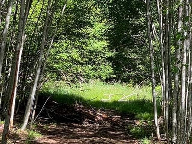 2nd image of LOT 6 Cudmore Rd