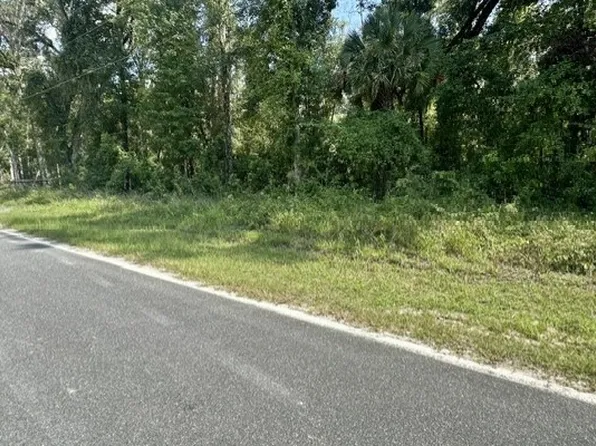 0 NE 597th St, Old Town, FL 32680