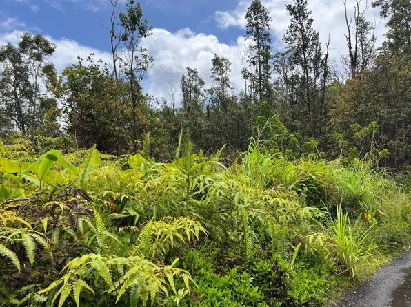Road 4 Kea #Io, Kurtistown, HI 96760