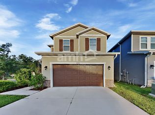 22399 Bellini Cir, Land O Lakes, FL 34639