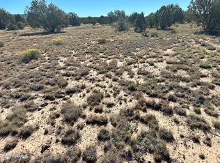 1381 W Isabella Ln #ASH, Williams, AZ 86046