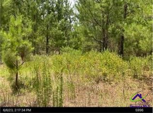 Margaret Ln, Hawkinsville, GA 31036