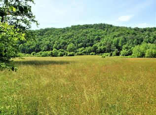 Spruce Pine Rd, Rogersville, TN 37857