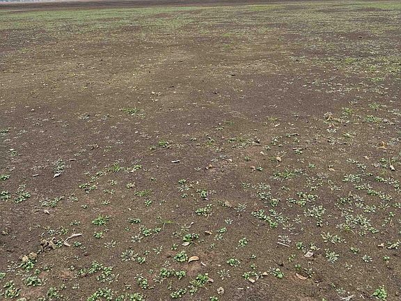 4th image of (Undisclosed Address)