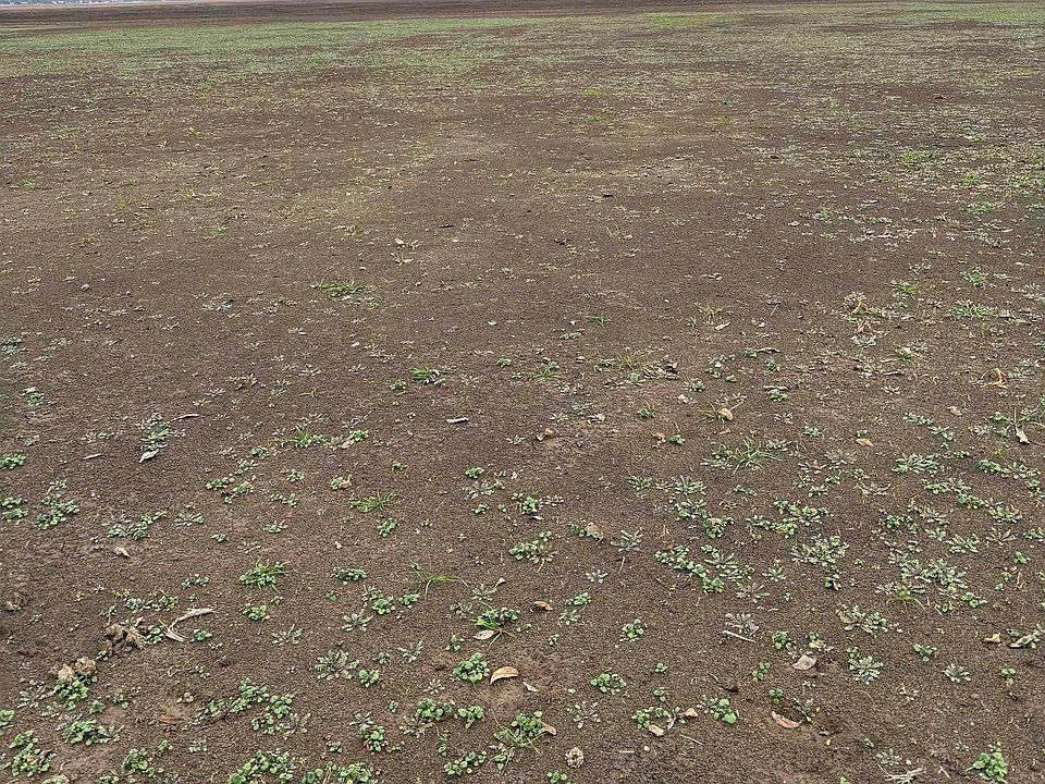 1st image of (Undisclosed Address)