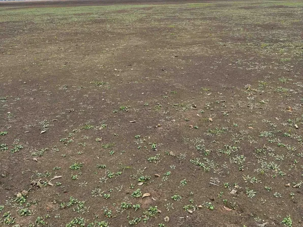 (undisclosed Address), Lake Village, AR 71653