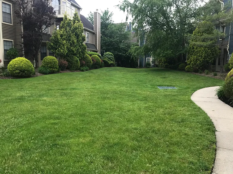 Community View 1