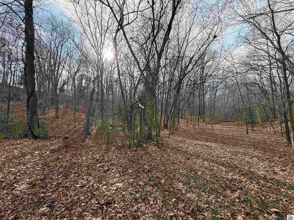 0 Waterway Trl, New Concord, KY 42076