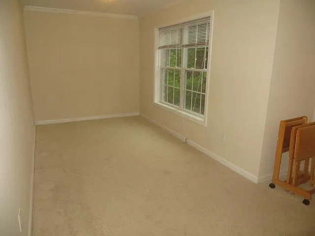 8949 Carroll Manor Dr — Photo 10